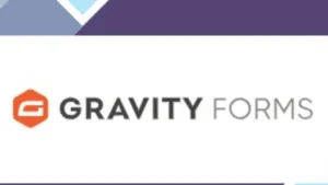 Gravity Forms Clever Reach