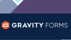 Gravity Forms Debug