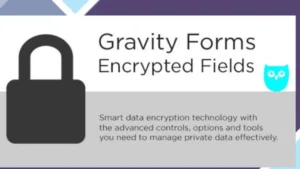 Gravity Forms Encrypted Fields