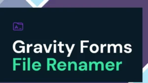 Gravity Forms File Renamer