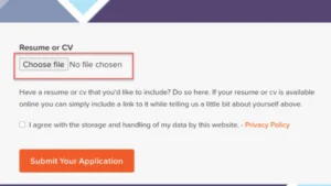 Gravity Forms File Upload Pro