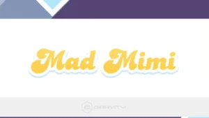 Gravity Forms Mad Mimi