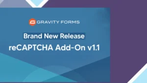 Gravity Forms reCAPTCHA