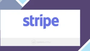 Gravity Forms Stripe Addon
