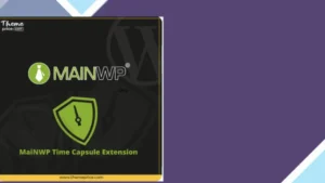 MainWP Time Capsule Extension
