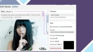 Media File Renamer Pro
