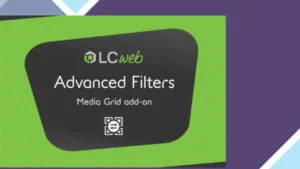 Media Grid Advanced Filters