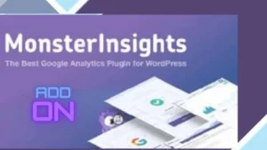 MonsterInsights - EU Compliance Addon