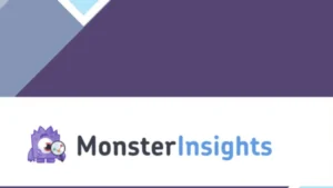 MonsterInsights PPC Tracking Addon
