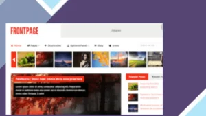 MyThemeShop Frontpage WordPress Theme