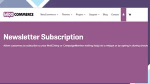 Newsletter - WooCommerce