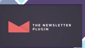 Newsletter - WP Forms Integration