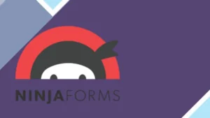 Ninja Forms CleverReach