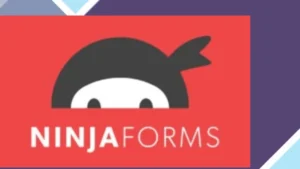 Ninja Forms Excel Export