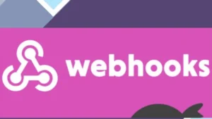 Ninja Forms Webhooks