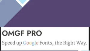 OMGF Pro - Host Google Fonts Locally for WordPress