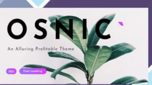 Osnic - Adsense WordPress Theme