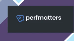 Perfmatters WordPress Plugin