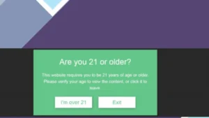 Premium Age Verification Restriction for WordPress