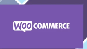 Wordpress Tools 10 Quick Buy Now Button for WooCommerce