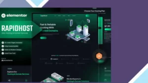 Rapidhost - Web Hosting and Domain Services Elementor Template Kit