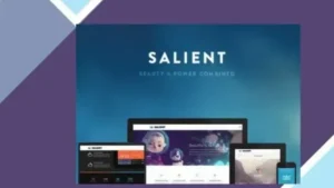Salient - Responsive Multi-Purpose Theme