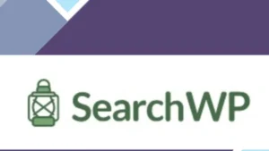 SearchWP Redirects