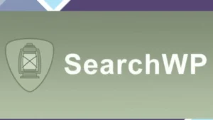 SearchWP Related Content
