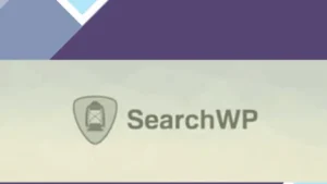 SearchWP WooCommerce Integration