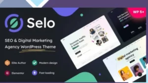 Selo - SEO and Digital Marketing Agency WordPress Theme