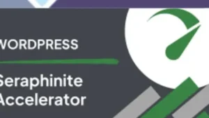 Wordpress Tools 17 Seraphinite Accelerator
