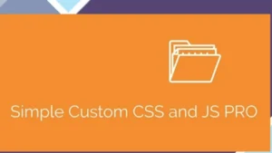 Simple Custom CSS and JS PRO