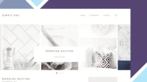 Simply Pro Theme