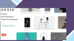 Sober - WooCommerce WordPress Theme