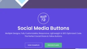 Social Media Share and Follow Buttons