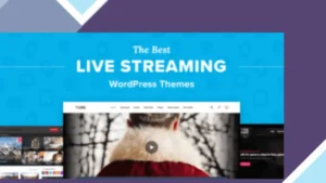 Stream WordPress Theme