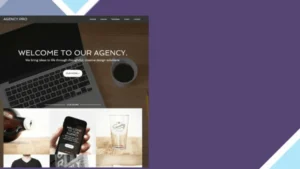 StudioPress Agency Pro Genesis WordPress Theme