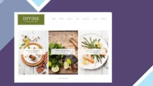 StudioPress Divine Pro Genesis WordPress Theme
