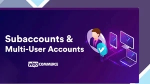 Subaccounts and Multi-User Accounts