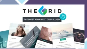 The Grid - Responsive WordPress Grid Plugin