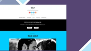 Themify Bold WordPress Theme