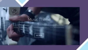 Themify Music WordPress Them