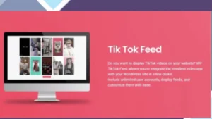 Tik Tok Feed