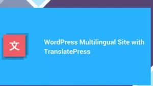 TranslatePress Multilingual (Business Plan)