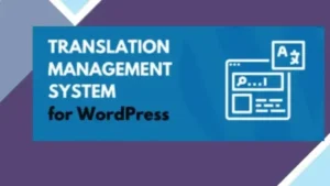 TranslatePress - Multilingual (Personal Plan)
