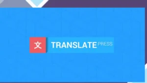 TranslatePress SEO Pack Addon
