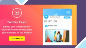 Twitter Feed WordPress Plugin