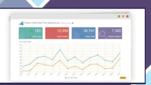 Visitor Traffic Real Time Statistics Pro