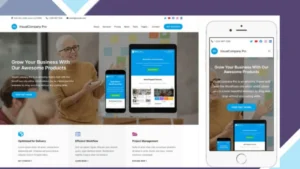 VisualCompany Pro
