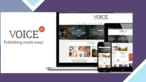 Voice - Clean News-Magazine WordPress Theme
